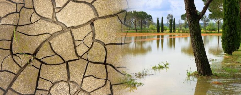 assurez la sécurité de votre domicile face aux aléas climatiques avec nos solutions de protection adaptées. restez serein, quelles que soient les conditions météorologiques, tout en protégeant vos biens et votre famille.