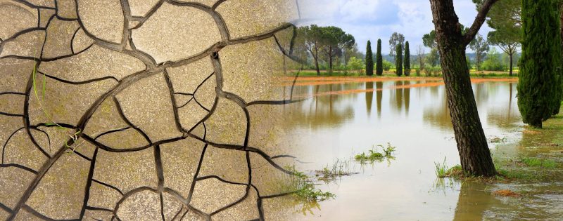 assurez la sécurité de votre domicile face aux aléas climatiques avec nos solutions de protection adaptées. restez serein, quelles que soient les conditions météorologiques, tout en protégeant vos biens et votre famille.