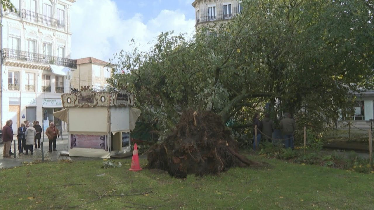 découvrez les impacts dévastateurs de la récente tempête en france, avec un aperçu des dégâts causés aux infrastructures, aux habitations et aux paysages naturels. restez informé des mesures prises pour faire face à cette calamité naturelle.