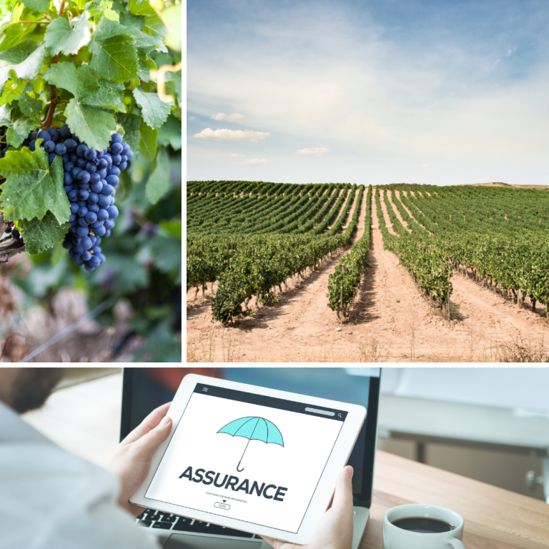découvrez comment l'assurance inflation climat protège votre entreprise ou foyer contre les hausses de prix liées aux phénomènes climatiques extrêmes. solutions adaptées et conseils d'experts.