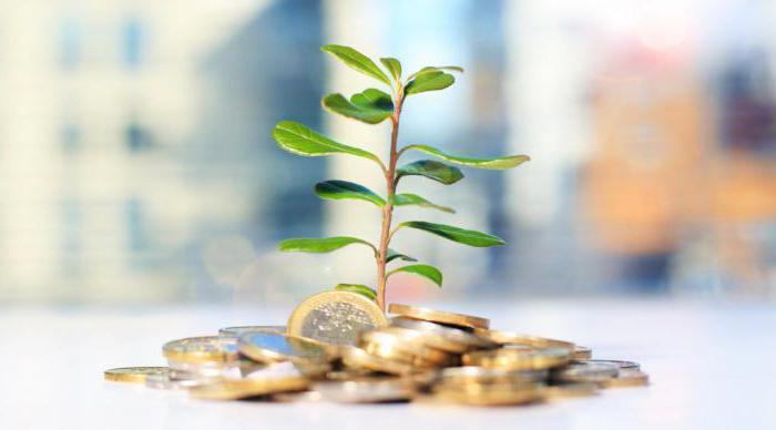 découvrez comment l'économie circulaire transforme les contrats d'assurance en favorisant des solutions durables et responsables pour un avenir plus écologique.