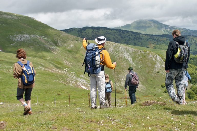découvrez notre guide maître sur le contrat d'assurance habitation pour bien comprendre vos garanties, choix et démarches afin de protéger efficacement votre logement.