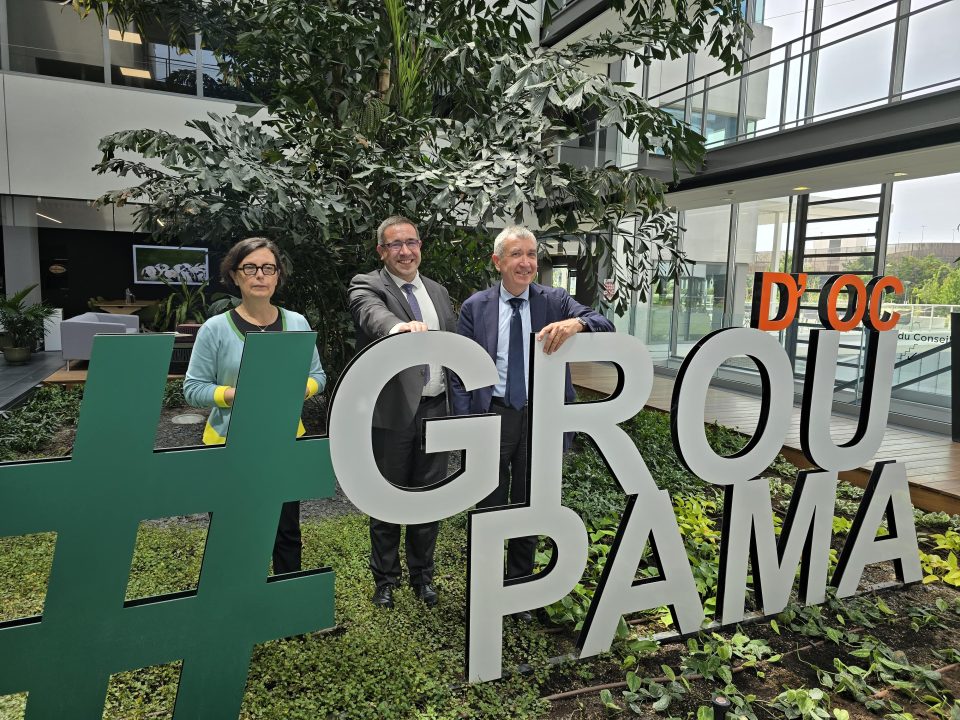 découvrez le bilan financier 2025 de groupama, avec une analyse détaillée des résultats, des performances et des perspectives de croissance.