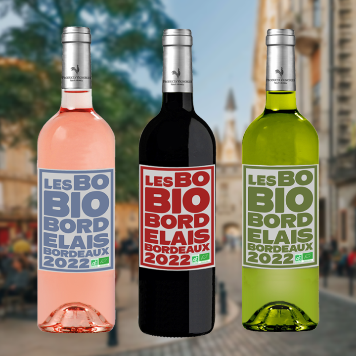 découvrez comment un policier bordelais gère son budget avec un salaire net de 2 480 € mensuels et quelles sont ses principales dépenses pour vivre confortablement.